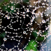 A glimpse at our online network.