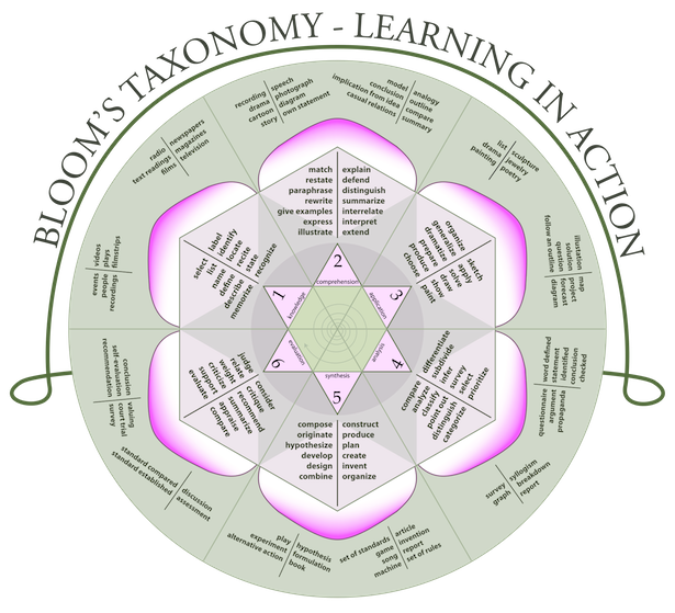 Blooms Taxonomy Rose